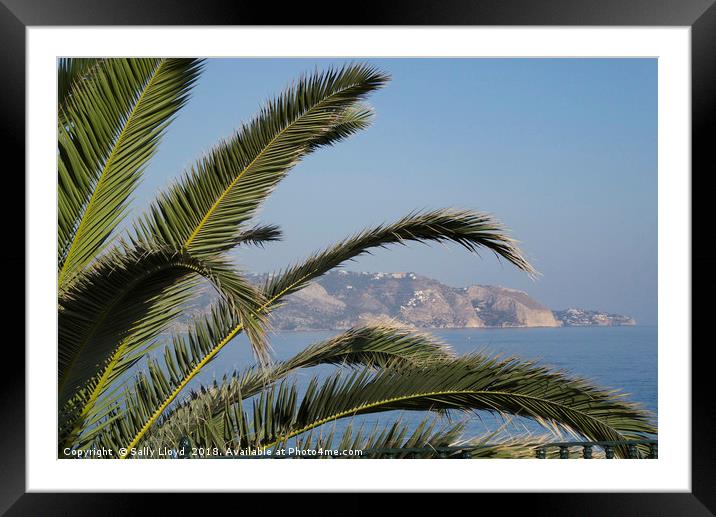 Nerja View Framed Mounted Print by Sally Lloyd