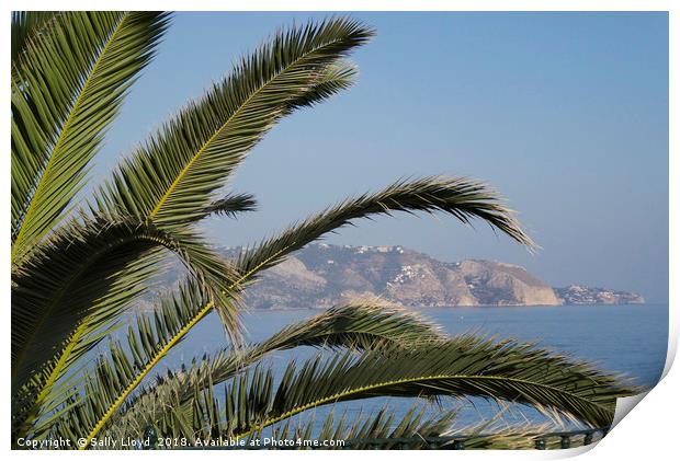 Nerja View Print by Sally Lloyd