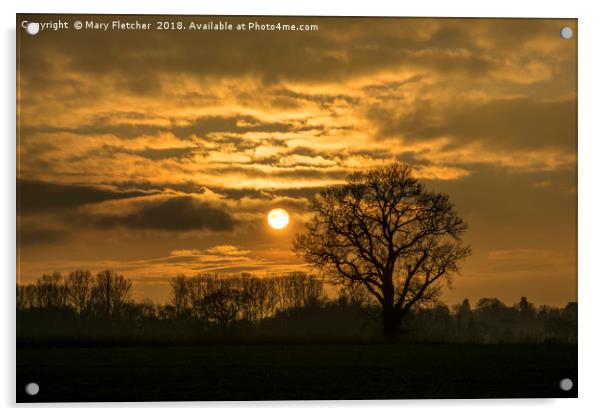 Sundown in Shropshire Acrylic by Mary Fletcher