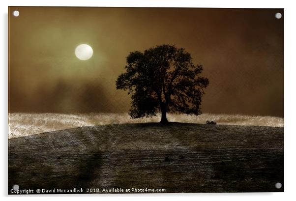 The Old Oak Tree               Acrylic by David Mccandlish
