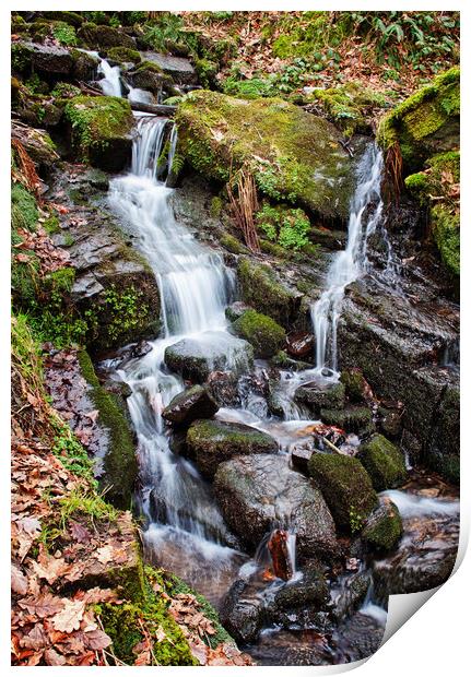 gently cascading Print by David McCulloch
