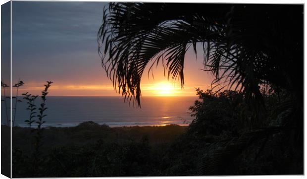 Sunset Through the Palms Canvas Print by james balzano, jr.