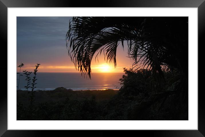 Sunset Through the Palms Framed Mounted Print by james balzano, jr.