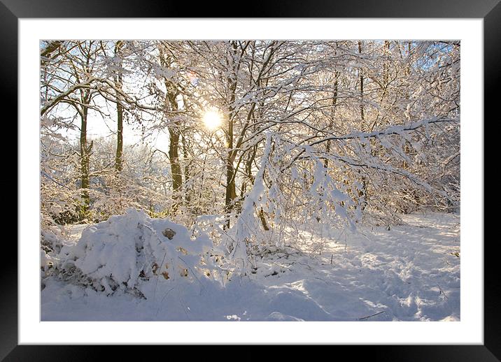 Snowy Sun Burst Framed Mounted Print by James Lavott