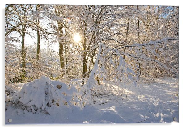 Snowy Sun Burst Acrylic by James Lavott
