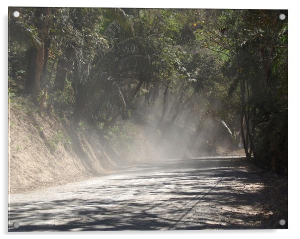 Dust Along the Road Acrylic by james balzano, jr.