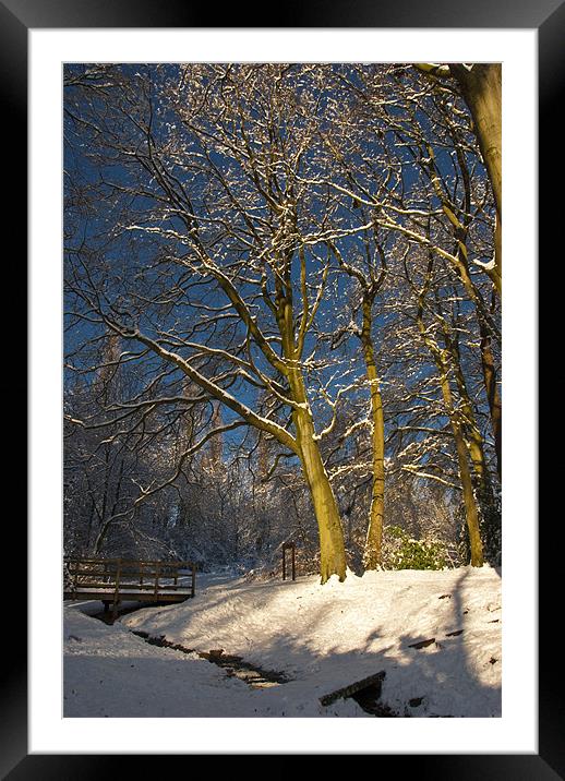 Snow scape Framed Mounted Print by James Lavott