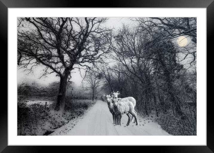A winters' tale Framed Mounted Print by Henry Horton