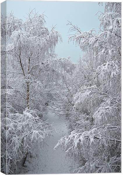 Snow Path Canvas Print by James Lavott