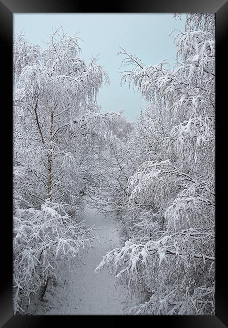 Snow Path Framed Print by James Lavott