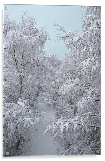 Snow Path Acrylic by James Lavott