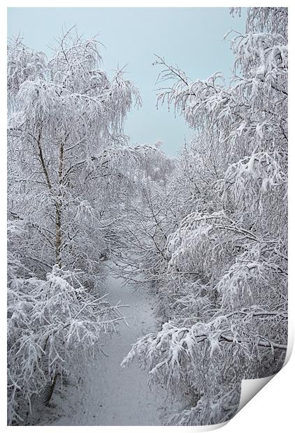 Snow Path Print by James Lavott