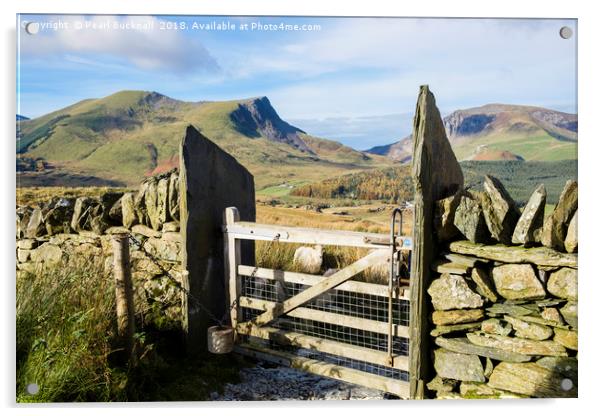 Gate on Mountain Path Acrylic by Pearl Bucknall