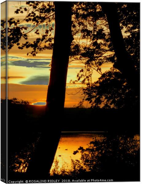 "Sunset across the lake" Canvas Print by ROS RIDLEY