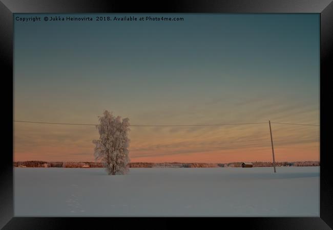 Lonely Tree Covered With Snow Framed Print by Jukka Heinovirta