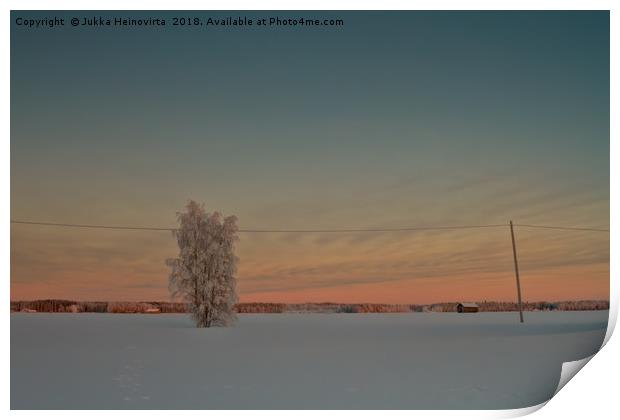 Lonely Tree Covered With Snow Print by Jukka Heinovirta