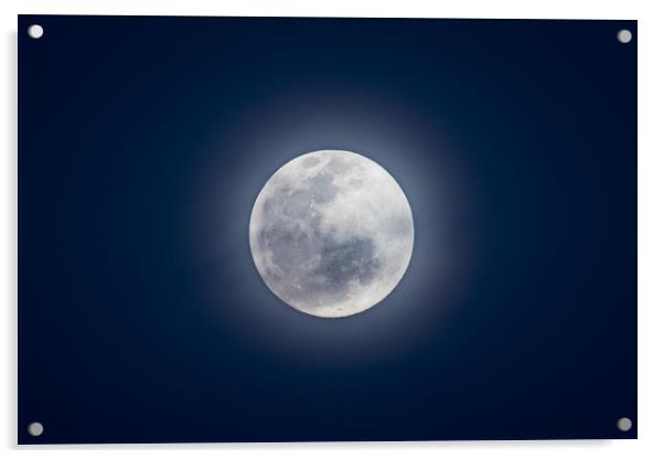 Full moon Acrylic by Villiers Steyn