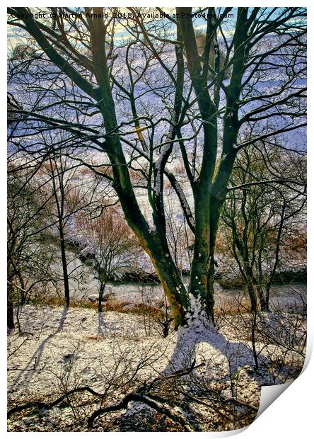 Winter Trees Print by Martyn Arnold