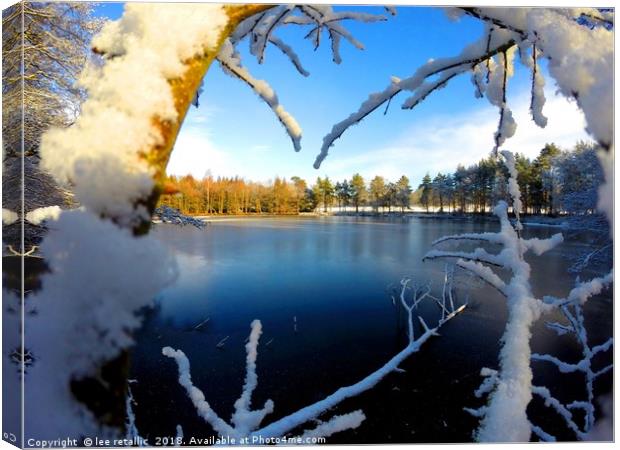 Frozen Lake at winter time Canvas Print by lee retallic