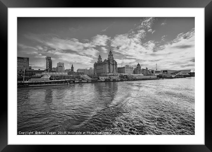 The Liver building Framed Mounted Print by Brian Fagan