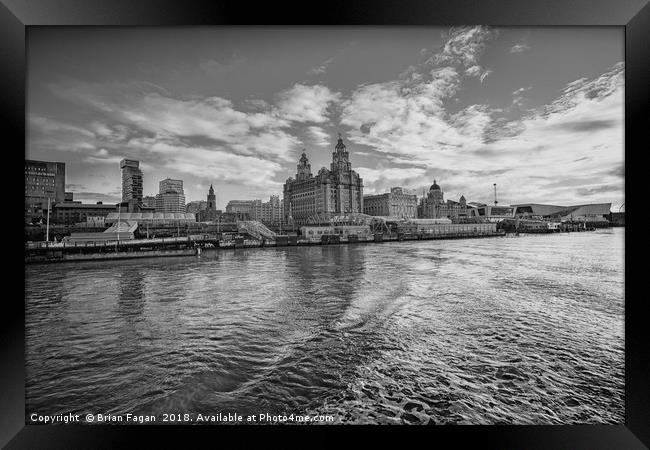 The Liver building Framed Print by Brian Fagan