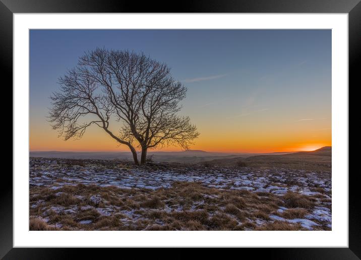 The Lone Tree at Malham Framed Mounted Print by Tony Keogh