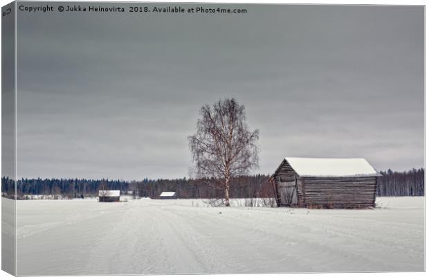 Snowy Road To The Forest Canvas Print by Jukka Heinovirta