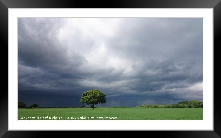 Lonely Tree -  angry sky Framed Mounted Print by Geoff Richards