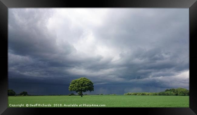 Lonely Tree -  angry sky Framed Print by Geoff Richards