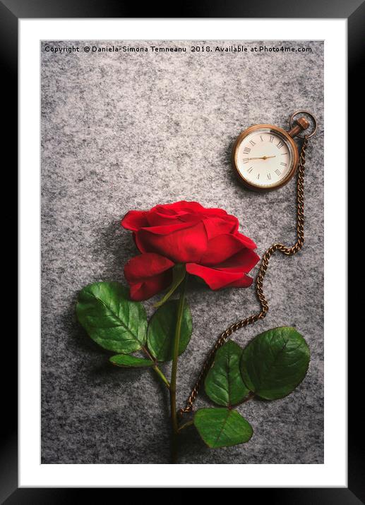 Red rose and a vintage pocket clock Framed Mounted Print by Daniela Simona Temneanu