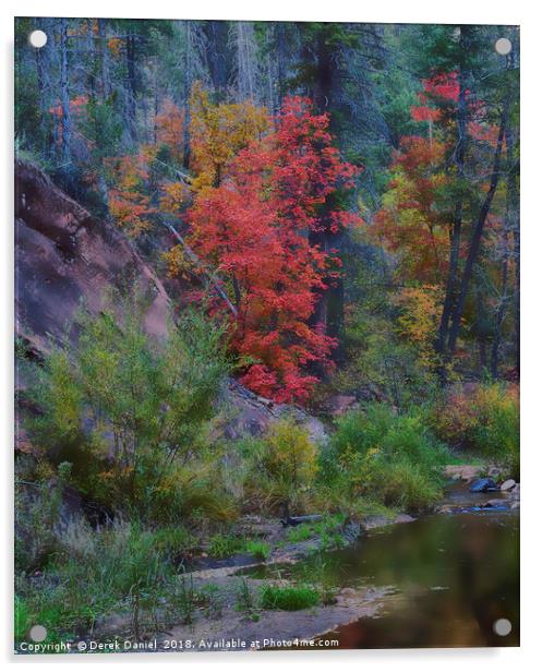 Oak Creek Canyon Acrylic by Derek Daniel