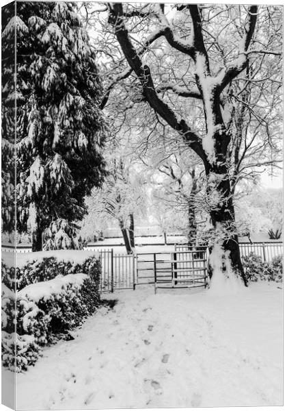 Kissing Gate In The Snow Canvas Print by Steve Purnell