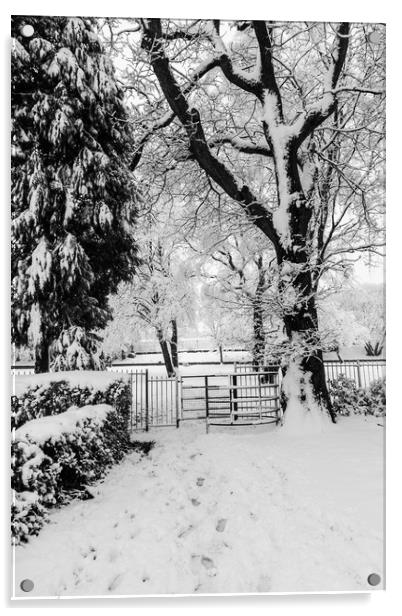 Kissing Gate In The Snow Acrylic by Steve Purnell