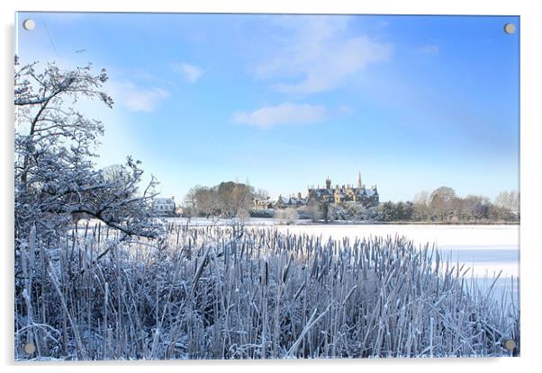 Lurgan Castle and lake frozen, County Armagh Acrylic by David McFarland