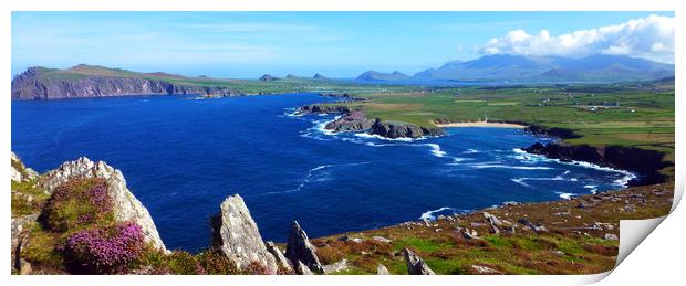 View from Clogher Head Print by Steve Strong