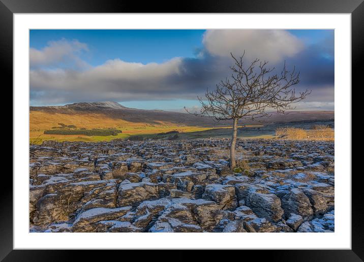 Southerscales in the Yorkshire Dales Framed Mounted Print by Tony Keogh