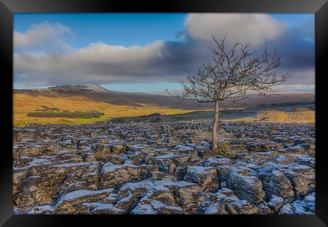 Southerscales in the Yorkshire Dales Framed Print by Tony Keogh
