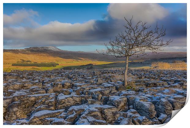 Southerscales in the Yorkshire Dales Print by Tony Keogh