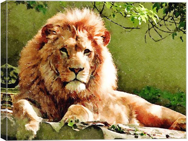Lion Print on Green Canvas Print by Tanya Hall