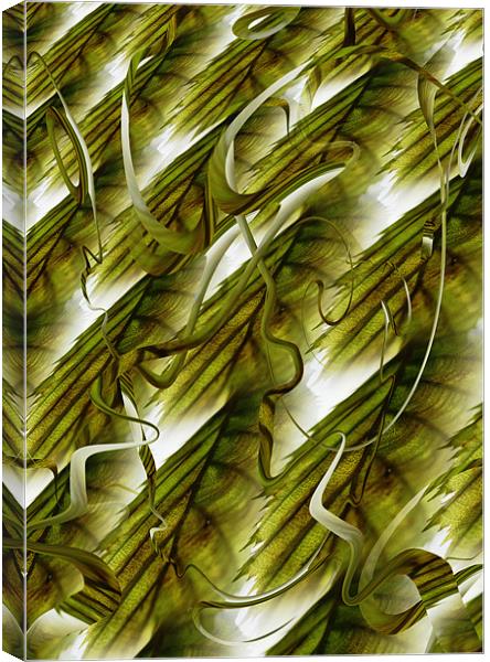 entangled leaves Canvas Print by Heather Newton