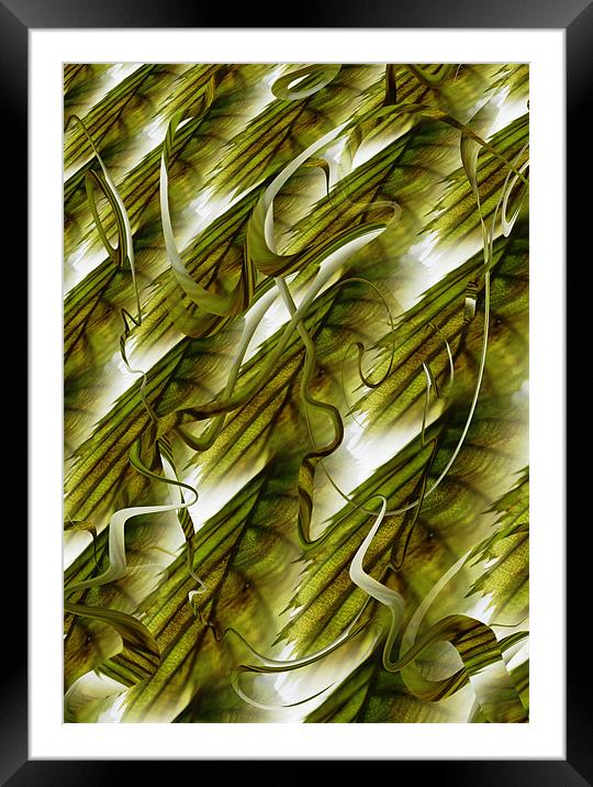 entangled leaves Framed Mounted Print by Heather Newton