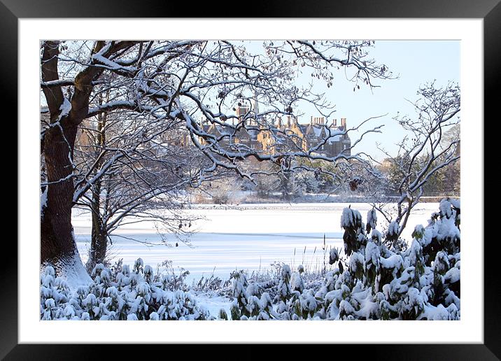Lurgan Park in the snow Framed Mounted Print by David McFarland
