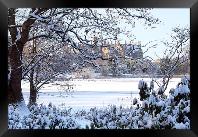 Lurgan Park in the snow Framed Print by David McFarland