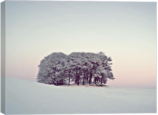 Pastels In The Scottish Snow. Canvas Print by Aj’s Images