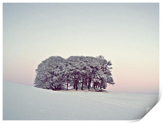 Pastels In The Scottish Snow. Print by Aj’s Images