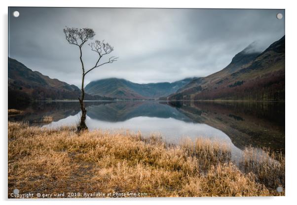 Buttermere Lone Tree Acrylic by gary ward