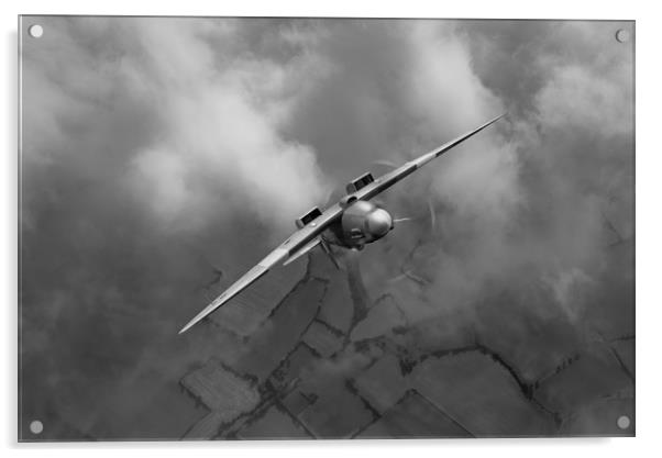 Spitfire looping the loop, B&W version Acrylic by Gary Eason