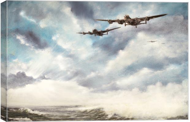 The Long Flight Home Canvas Print by Paul Holman Photography