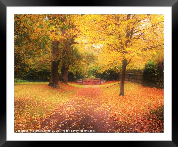 Autumn Leaves Framed Mounted Print by Geoff Richards