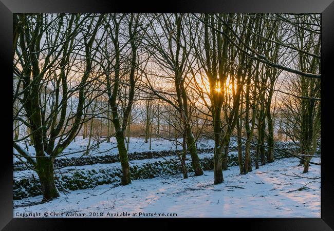 Peak District | Winter trees in Castleton Framed Print by Chris Warham